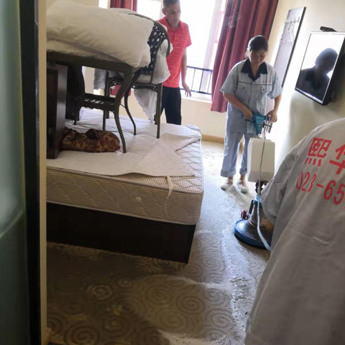 地毯清洁2.jpg
